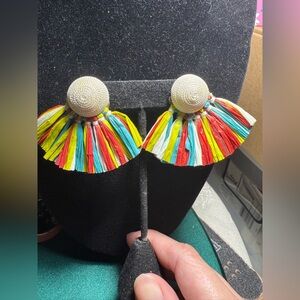 Source Unknown Multicolor‎ Tassel Earrings